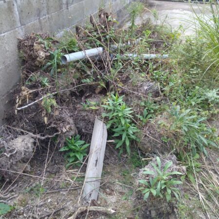 太宰府市 Ｅ様邸 お庭 の 雑草除根 整地作業